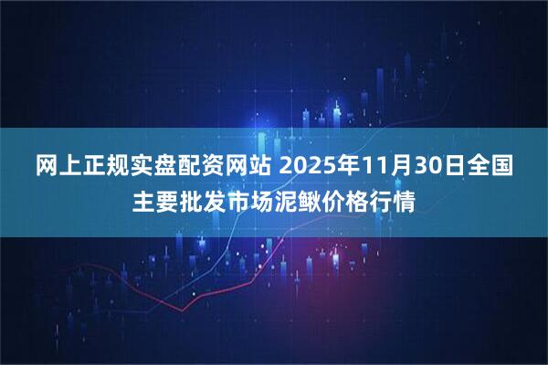 网上正规实盘配资网站 2025年11月30日全国主要批发市场泥鳅价格行情